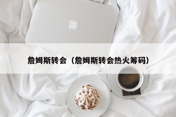 詹姆斯转会（詹姆斯转会热火筹码）