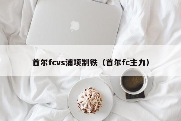 首尔fcvs浦项制铁（首尔fc主力）