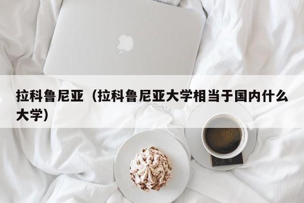 拉科鲁尼亚（拉科鲁尼亚大学相当于国内什么大学）