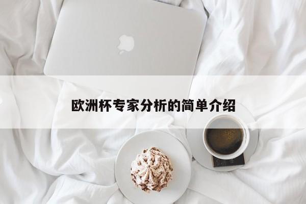 欧洲杯专家分析的简单介绍