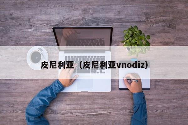 皮尼利亚（皮尼利亚vnodiz）