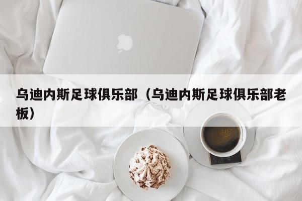 乌迪内斯足球俱乐部（乌迪内斯足球俱乐部老板）