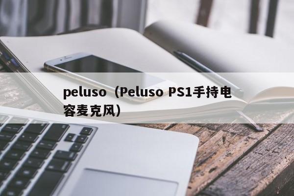 peluso（Peluso PS1手持电容麦克风）