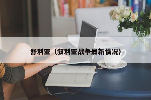 舒利亚（叙利亚战争最新情况）
