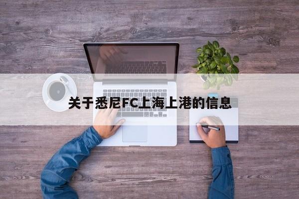 关于悉尼FC上海上港的信息