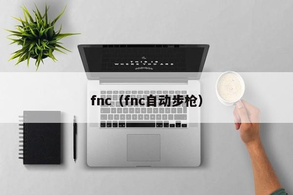 fnc（fnc自动步枪）