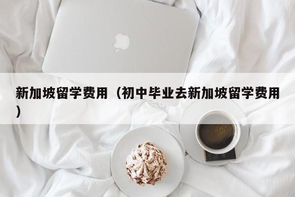 新加坡留学费用（初中毕业去新加坡留学费用）