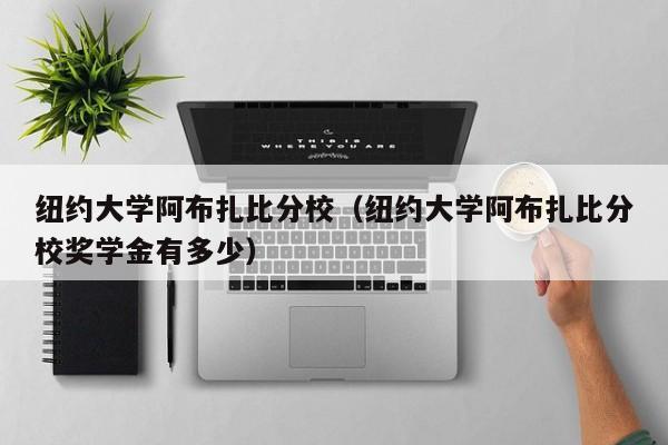 纽约大学阿布扎比分校（纽约大学阿布扎比分校奖学金有多少）