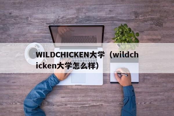 WILDCHICKEN大学（wildchicken大学怎么样）