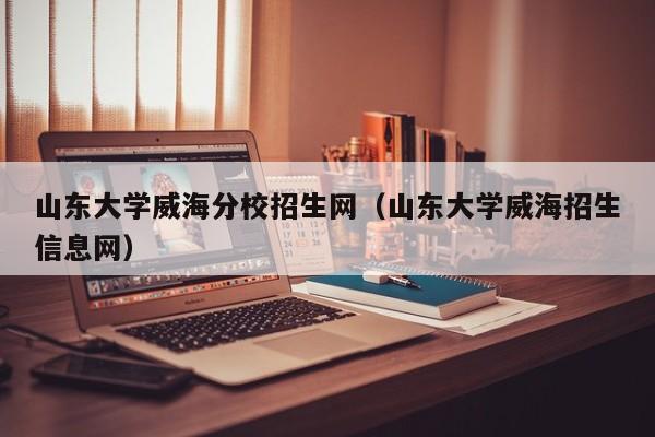 山东大学威海分校招生网（山东大学威海招生信息网）