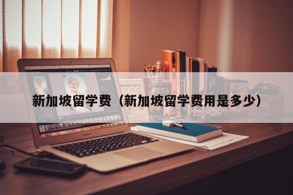 新加坡留学费（新加坡留学费用是多少）