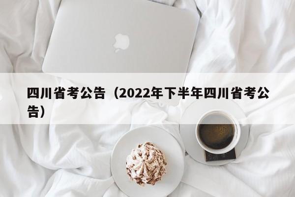 四川省考公告（2022年下半年四川省考公告）