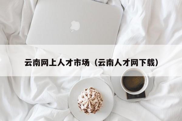 云南网上人才市场（云南人才网下载）