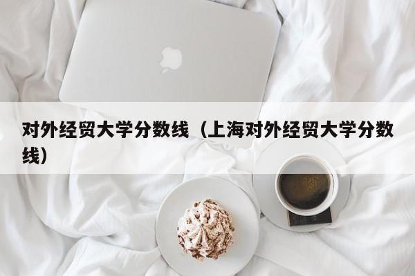 对外经贸大学分数线（上海对外经贸大学分数线）