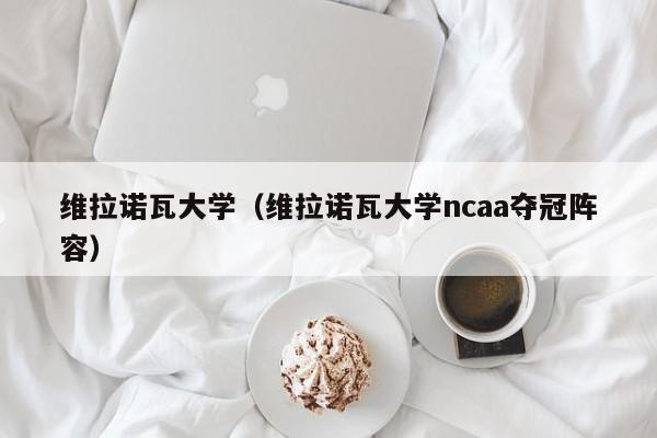 维拉诺瓦大学（维拉诺瓦大学ncaa夺冠阵容）