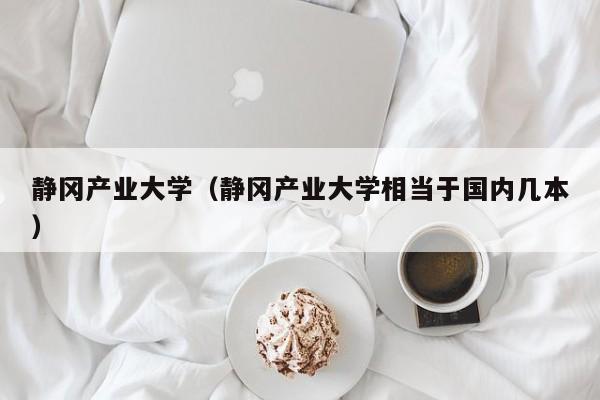 静冈产业大学（静冈产业大学相当于国内几本）