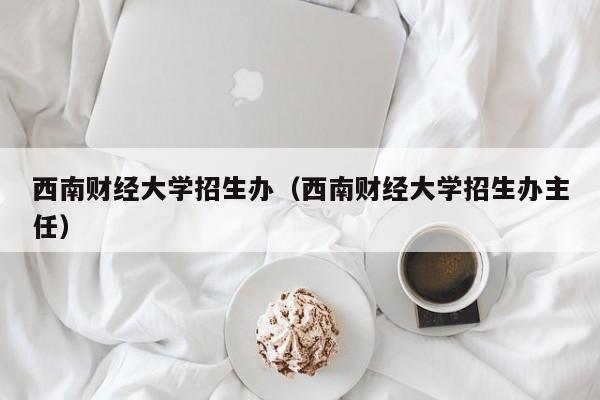 西南财经大学招生办（西南财经大学招生办主任）