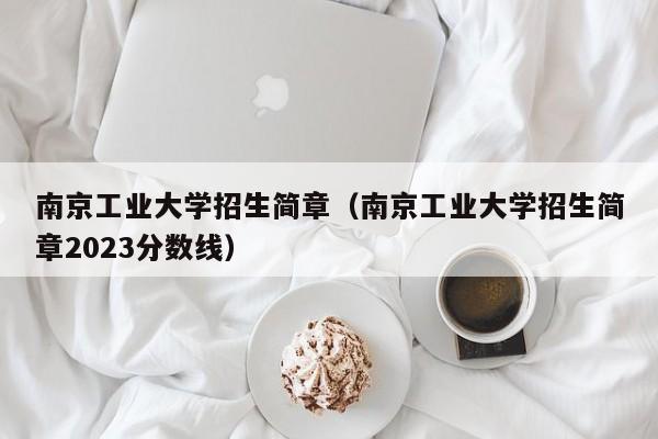 南京工业大学招生简章（南京工业大学招生简章2023分数线）